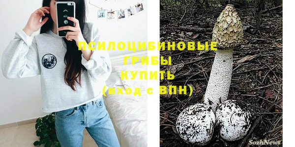 дмт Арсеньев