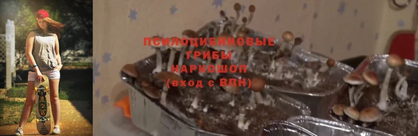 МДПВ Армянск
