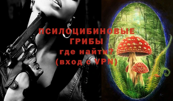 винт Аркадак