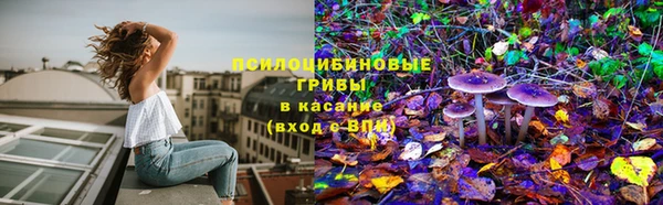 дмт Арсеньев