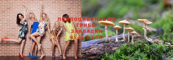 МДПВ Армянск
