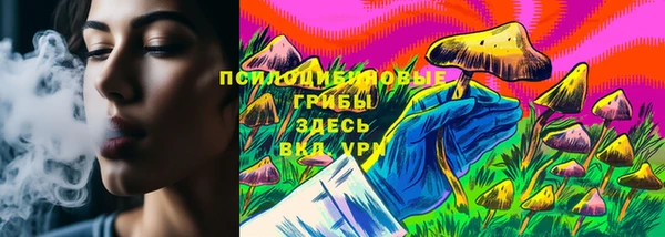 винт Аркадак