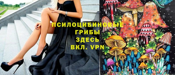 дмт Арсеньев