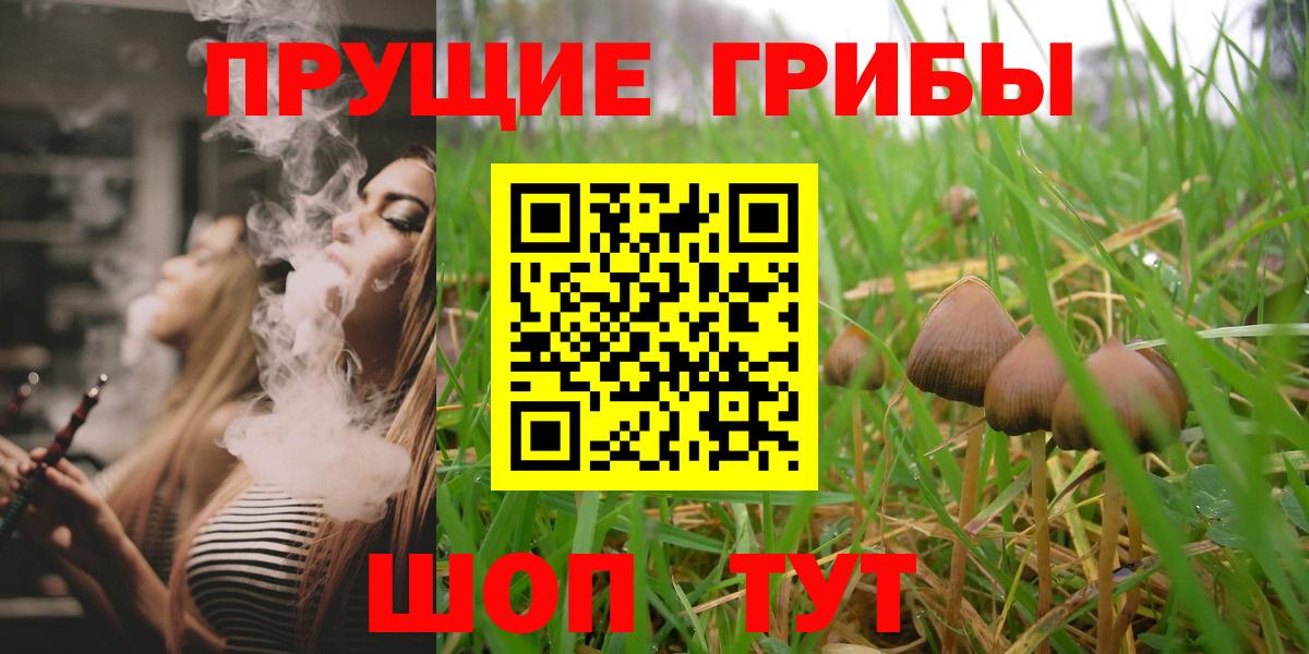 дарнет шоп  Галлюциногенные грибы прущие грибы  Псилоцибиновые грибы Cubensis  Вход с VPN  Усинск 